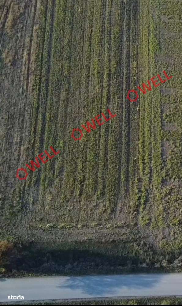 Teren extravilan de vânzare între Valea Crișului și Calnic - Imagine principală: 4/4
