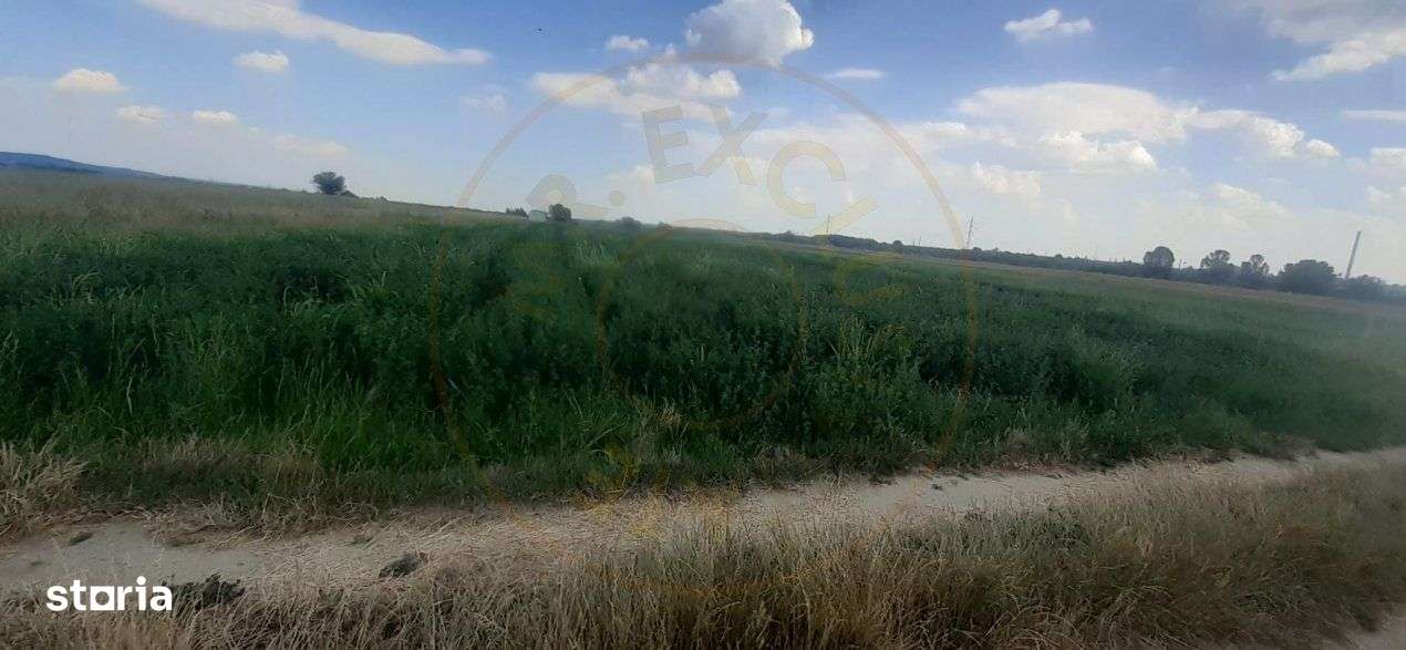 Teren  Extravilan -8514 mp Stefanesti  - STR.  Sticlelor - Imagine principală: 2/3