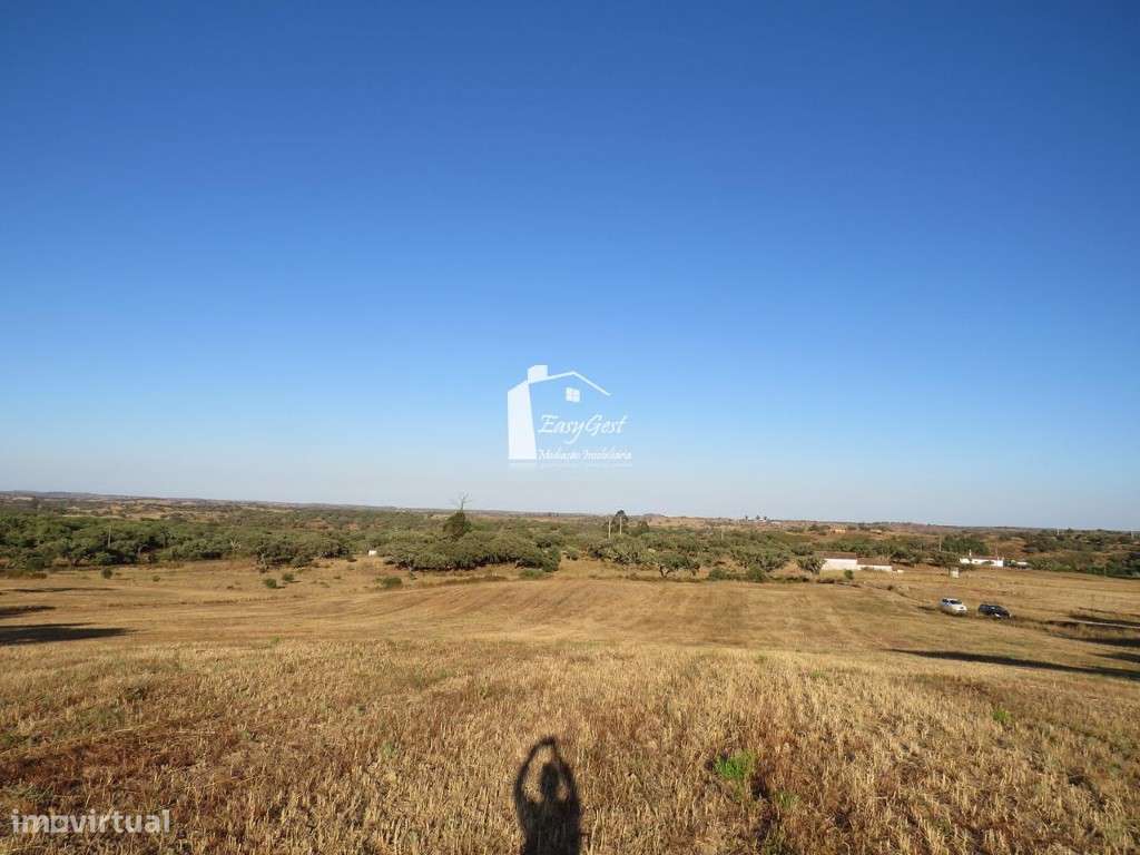 Terreno Rústico com 39.100m2 perto da Barragem da Rocha - Grande imagem: 4/16