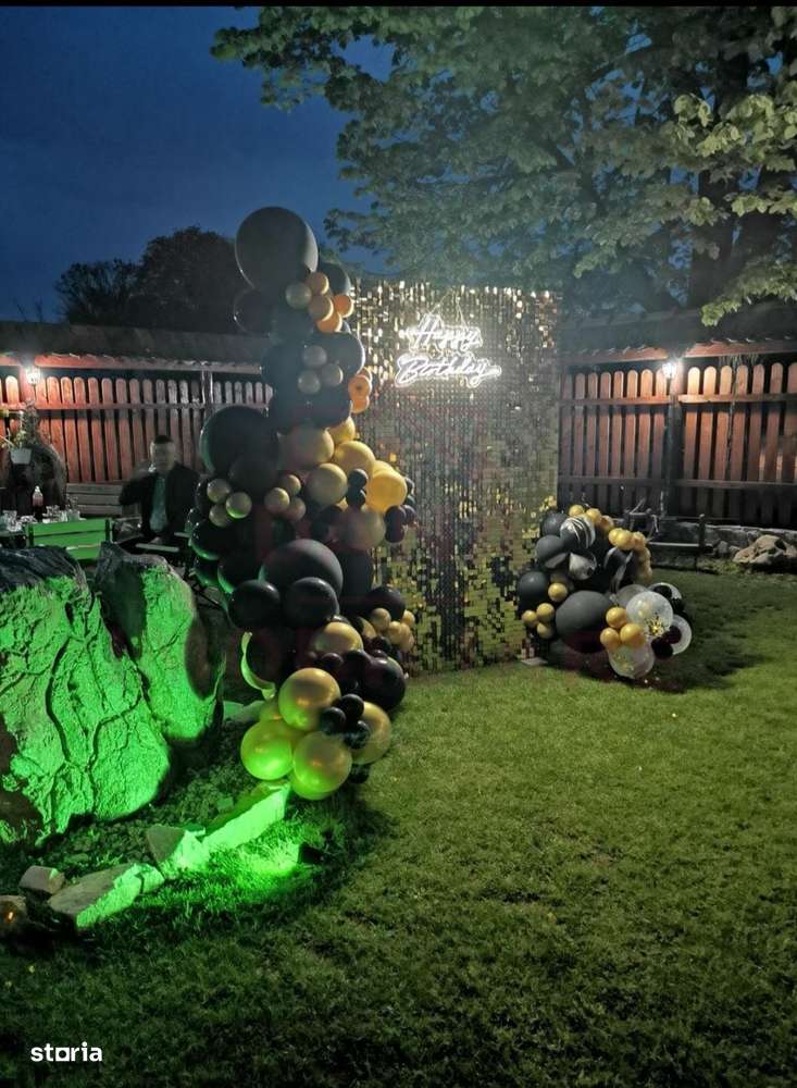 CASĂ\VILĂ DE VÂNZARE \COM. OBREJA\SAT IAZ\CARAȘ-SEVERIN-8