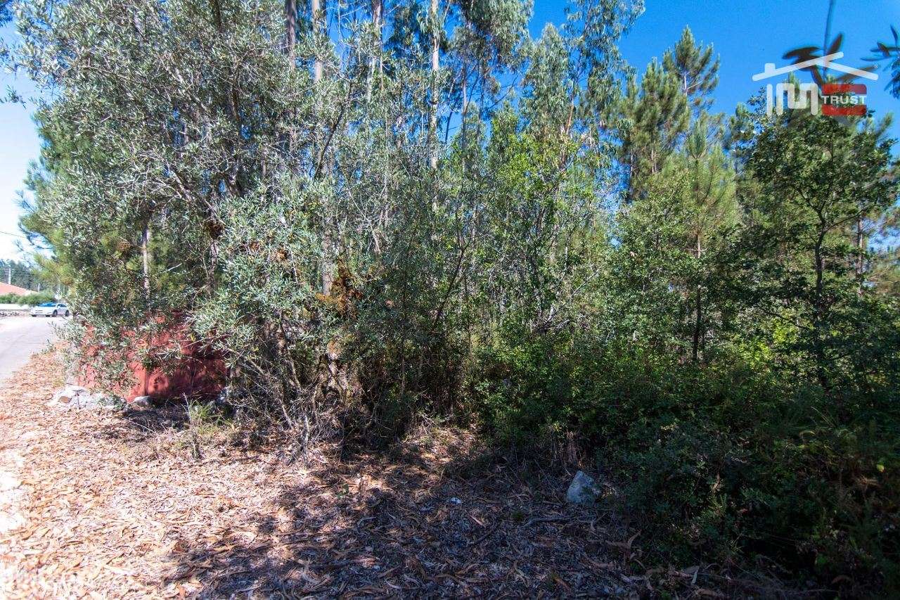 TERRENO EM MOITA DO MARTINHO A 5 MIN DE FÁTIMA - Grande imagem: 4/8