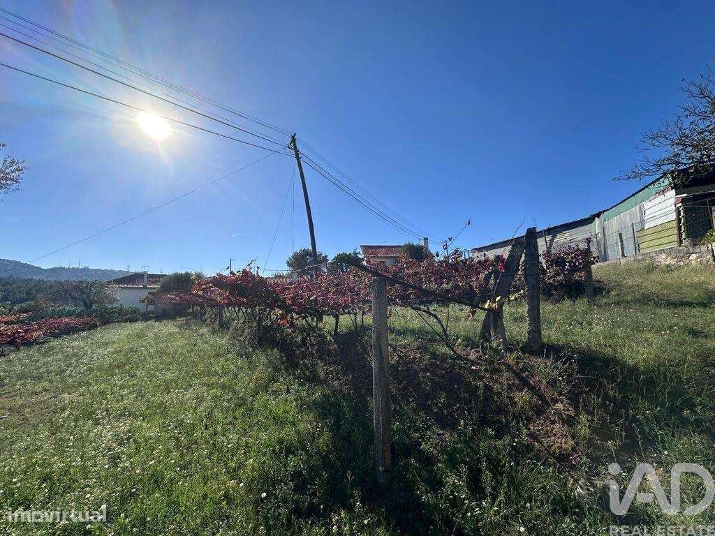 Terreno Agrícola em Fornelos e Queijada - Grande imagem: 4/10