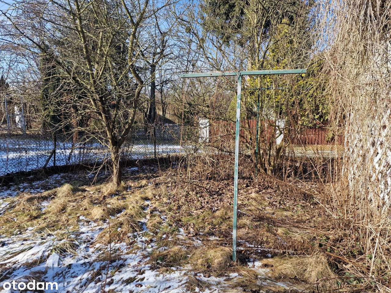 Działka ROD 300 m² – Żwirki i Wigury II (Ławica) - Pełny obrazek: 4/20