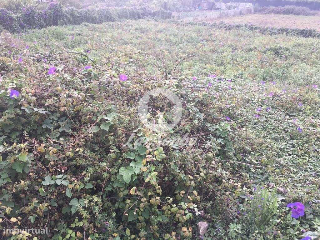 Excelente Terreno p/ construção em Altura c/1.170m2 na Póvoa de Var... - Grande imagem: 4/5