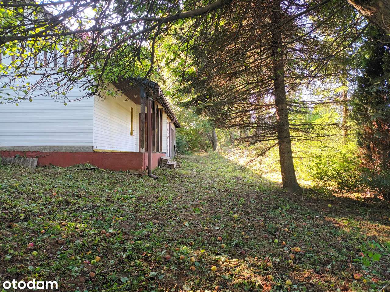 Działka rolno-budowlana godzinę drogi od Krakowa 0,7 ha Przybysławice - Pełny obrazek: 5/8