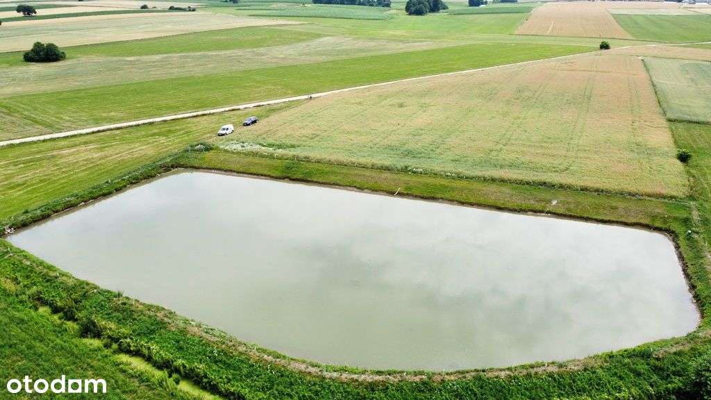 Działka z potencjałem, Agroturystyka, kemping staw - Pełny obrazek: 4/8