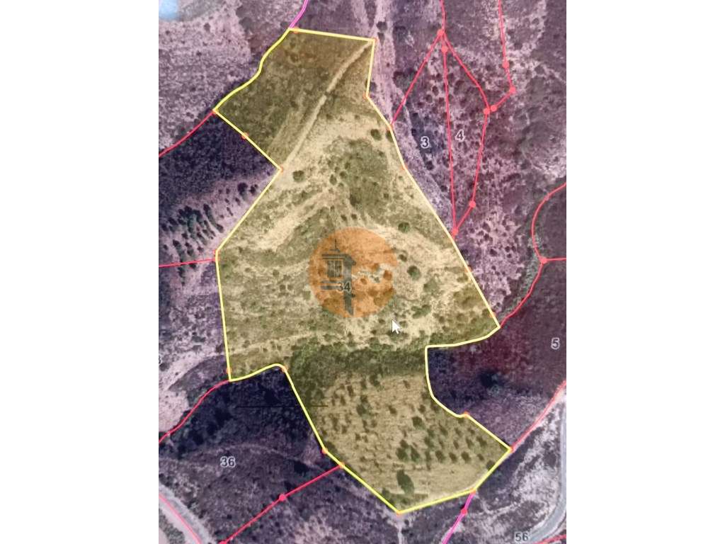 TERRENO COM 43.560 M2 - COM POSSIBILIDADE DE CONTRUIR UM ARMAZÉM - ... - Grande imagem: 2/24