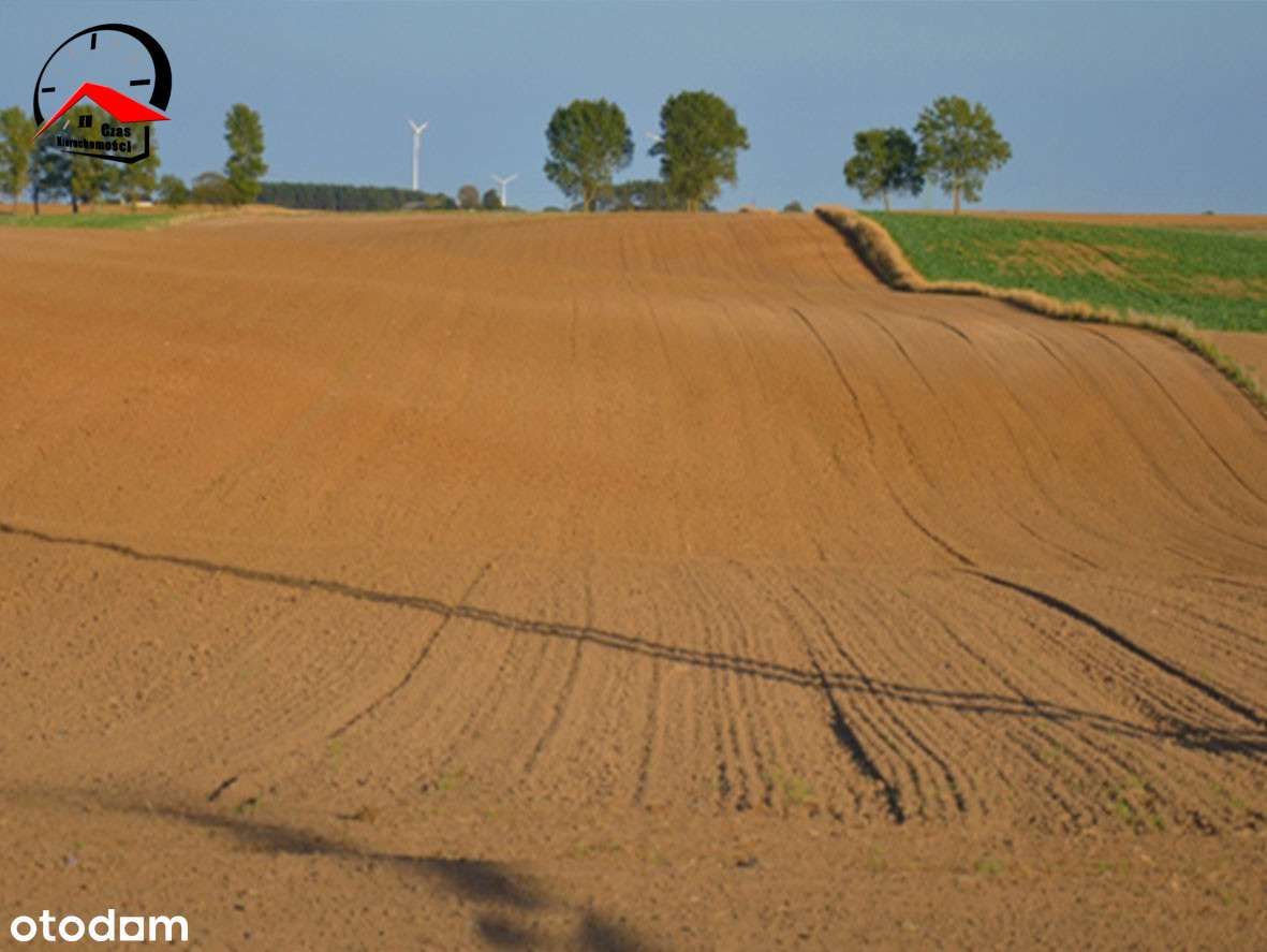 Działki na wzgórzu. Wz z 2025. Przy asfalcie.-11