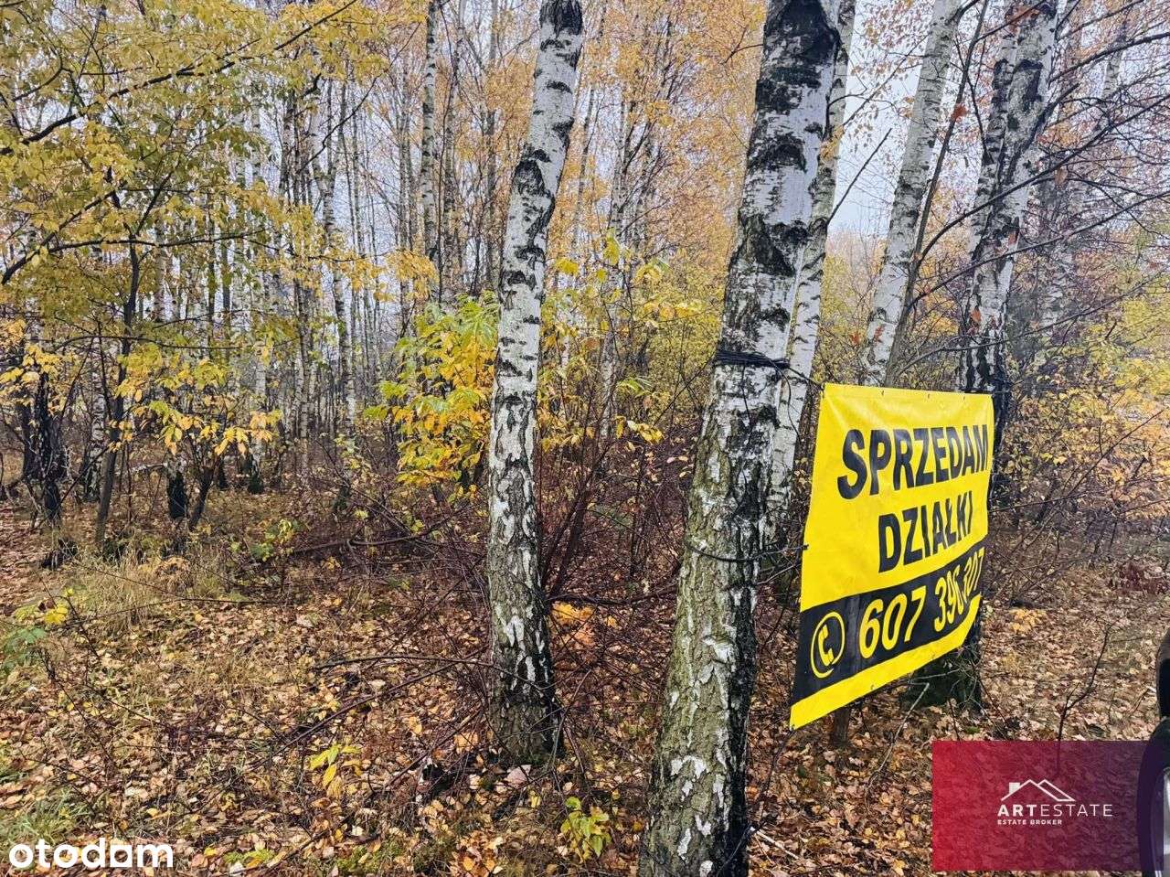 Działka Budowlana Słowak gm. Aleksandrów Ł. - Pełny obrazek: 4/20