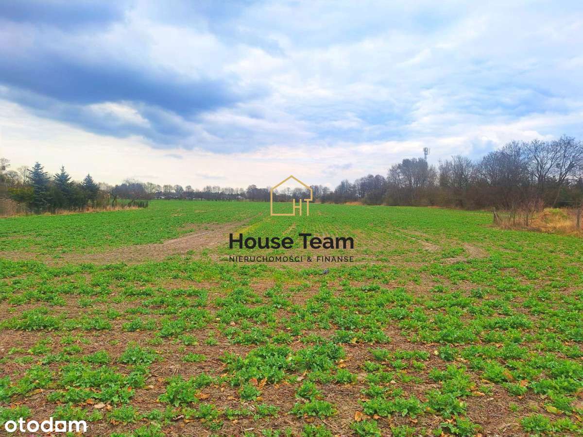 Działka - 1650 m2 - Żołędowo ul. Klonowa - Pełny obrazek: 4/7