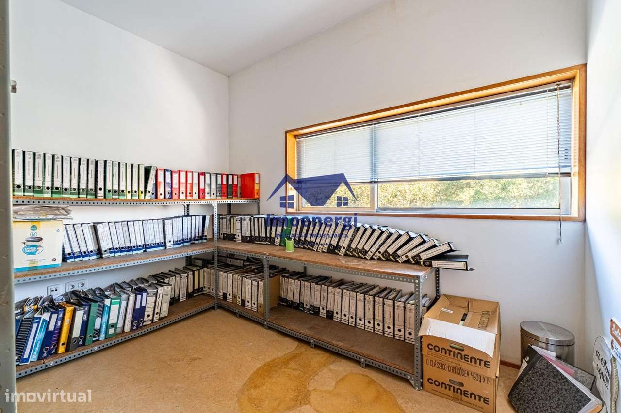 Excelente Edifício - Árvore - Grande imagem: 5/47