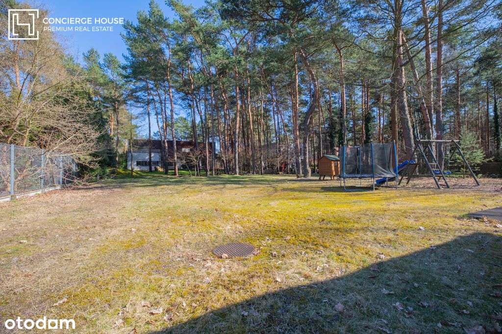 Dom w Radości | Magiczna działka ze starodrzewiem-8