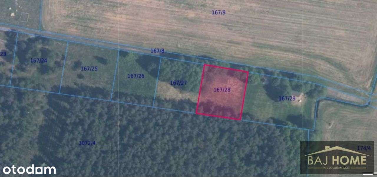 Urokliwa działka przy lesie w Dolnej Grupie - Pełny obrazek: 5/12