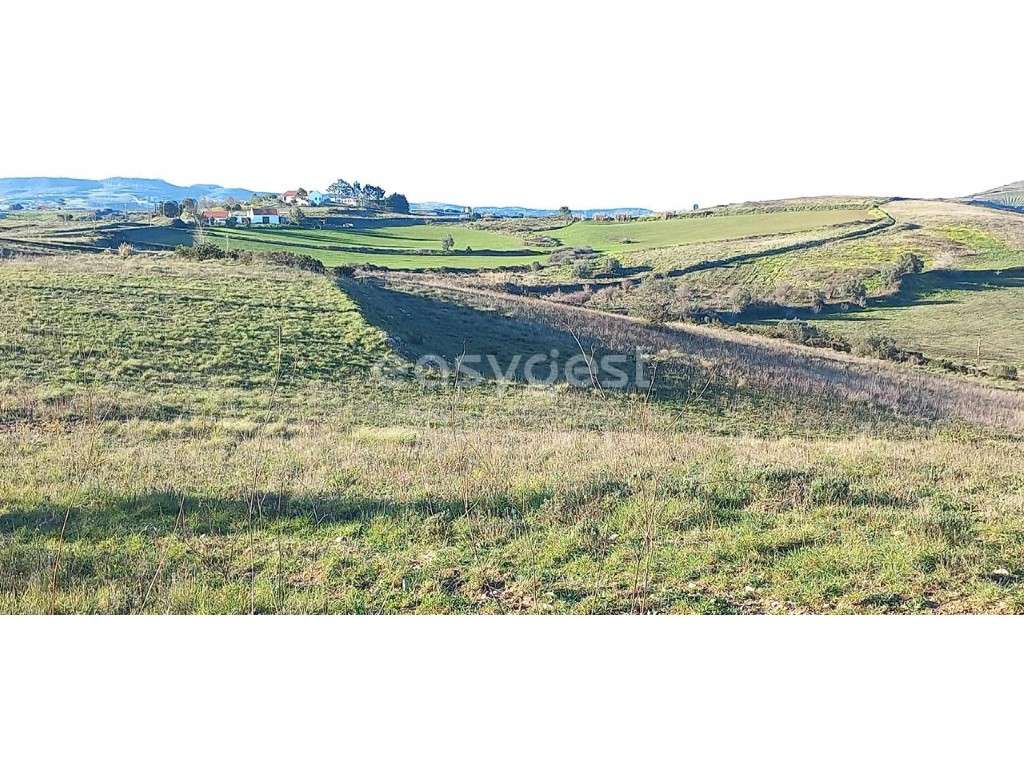 Terreno Rústico para cultivo com 16360 m2 em Manhosas São João Montes - Grande imagem: 4/15