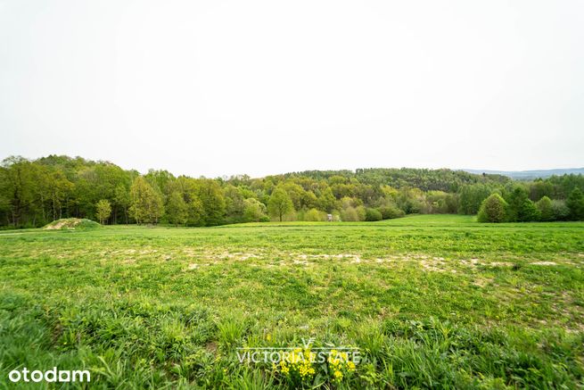 Działka budowlana w Grajowie- 10 arów