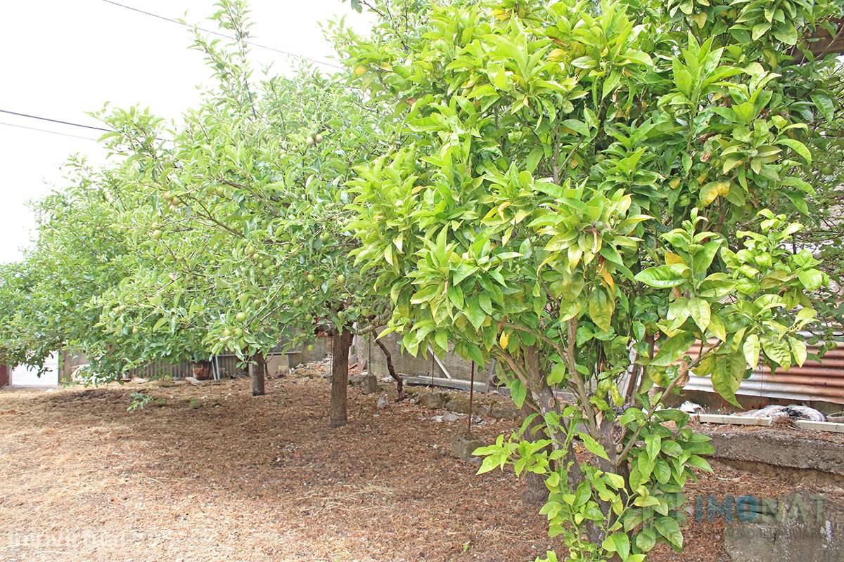 Lote de Terreno - Grande imagem: 3/4