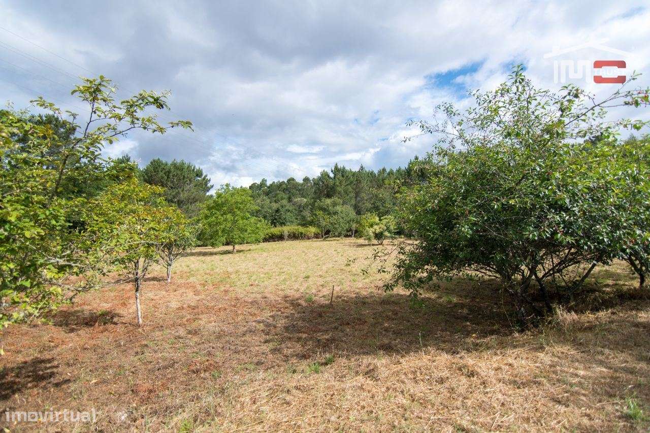 TERRENO COM ÁREA DE 3800 M2. MUITO BOA LOCALIZAÇÃO EM CASAIS DE S.M... - Grande imagem: 4/12
