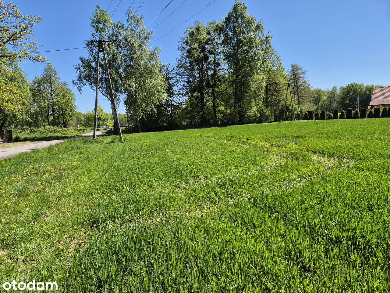 działka rolno-budowlana - Pełny obrazek: 5/18