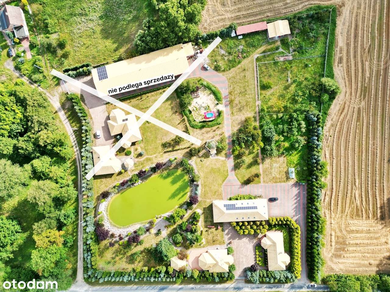 Dwa domy, siedlisko ze stawem i halą, wśród lasu-3