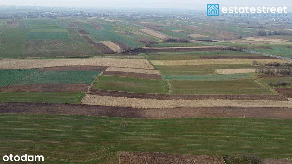 Działka z Wz w Rogóżnie|0,26ha - Pełny obrazek: 4/4