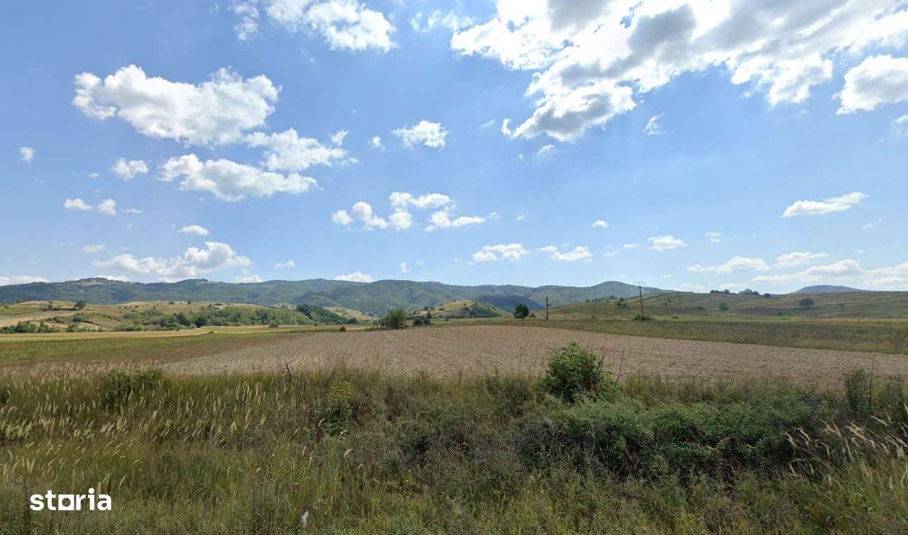 Cota 1/4 teren extravilan Dalboset, jud. Caras Severin - termen 14.08 - Imagine principală: 3/7