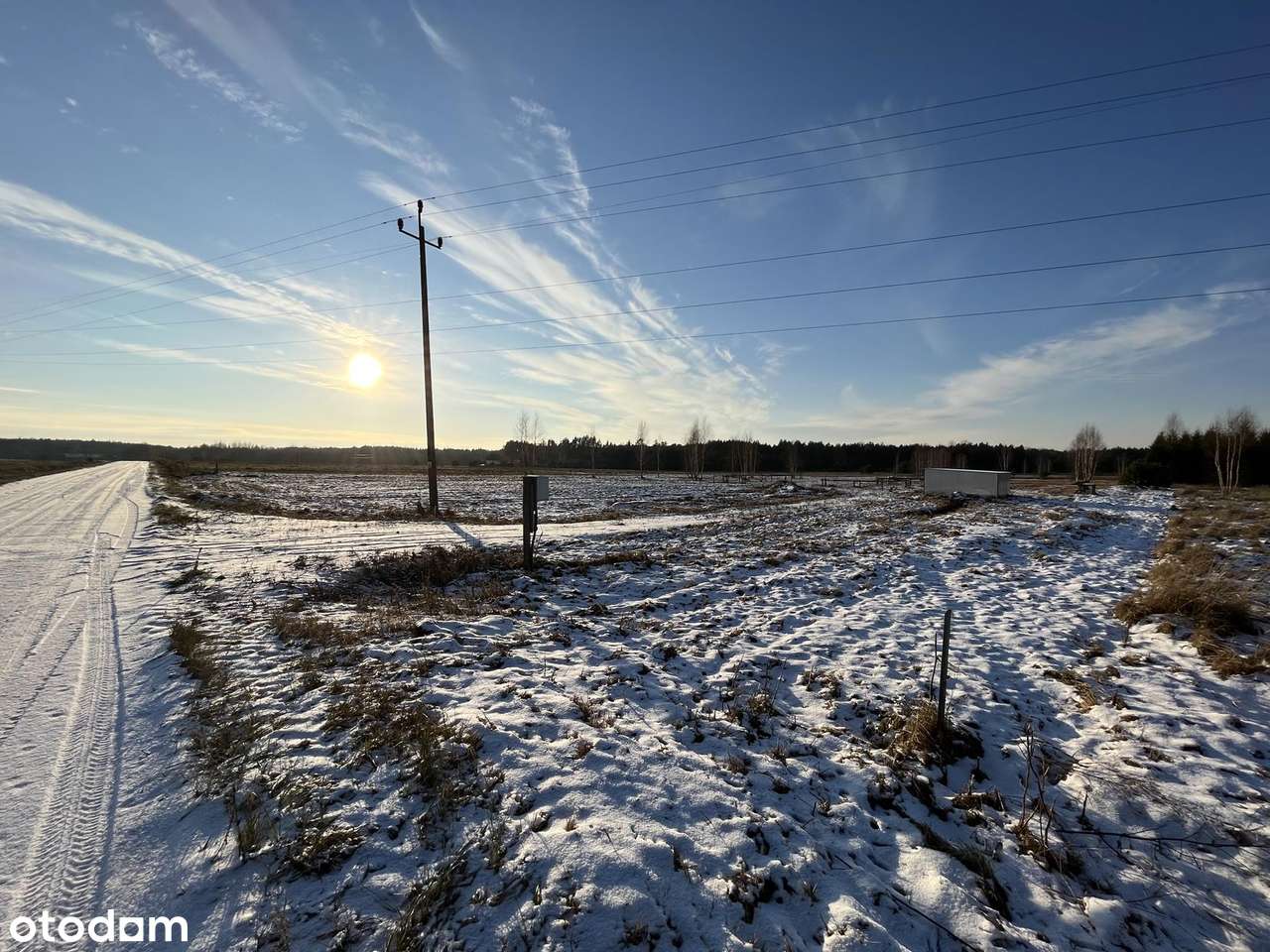 ELIASZUKI Dz o pow 4,4310 ha z własnym Puszczańskim Lasem BEZ SASIADÓW-18