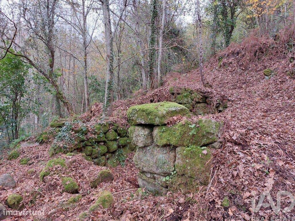 Terreno misto em São Cristóvão de Nogueira - Grande imagem: 5/16