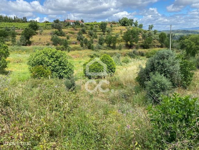 Moradia T2 inserida em Terreno de 528m2 em Gavião-24