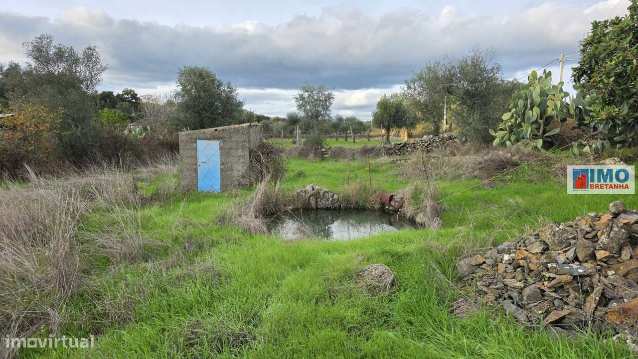 Terreno  Venda em Idanha-a-Nova e Alcafozes,Idanha-a-Nova - Grande imagem: 5/12