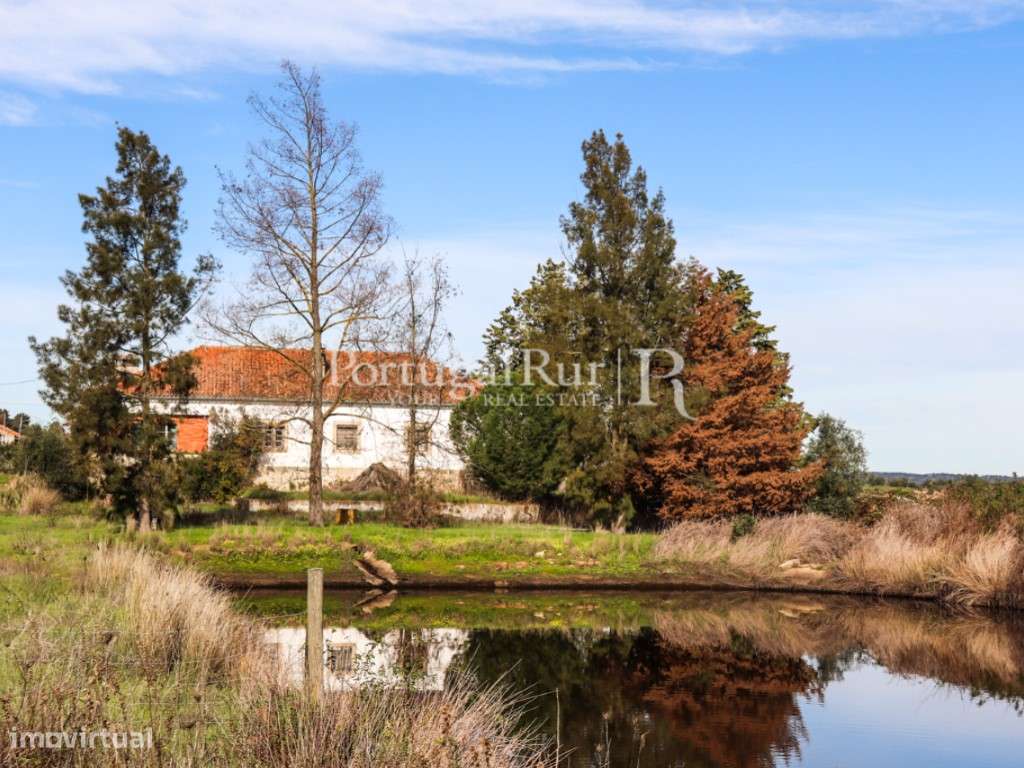 Quinta com casa de habitação T5 e diversas construções-29