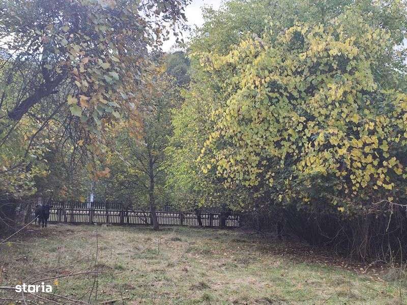 Casa de vacanta, peisaj de vis, trasee cu atv-uri - Imagine principală: 4/8