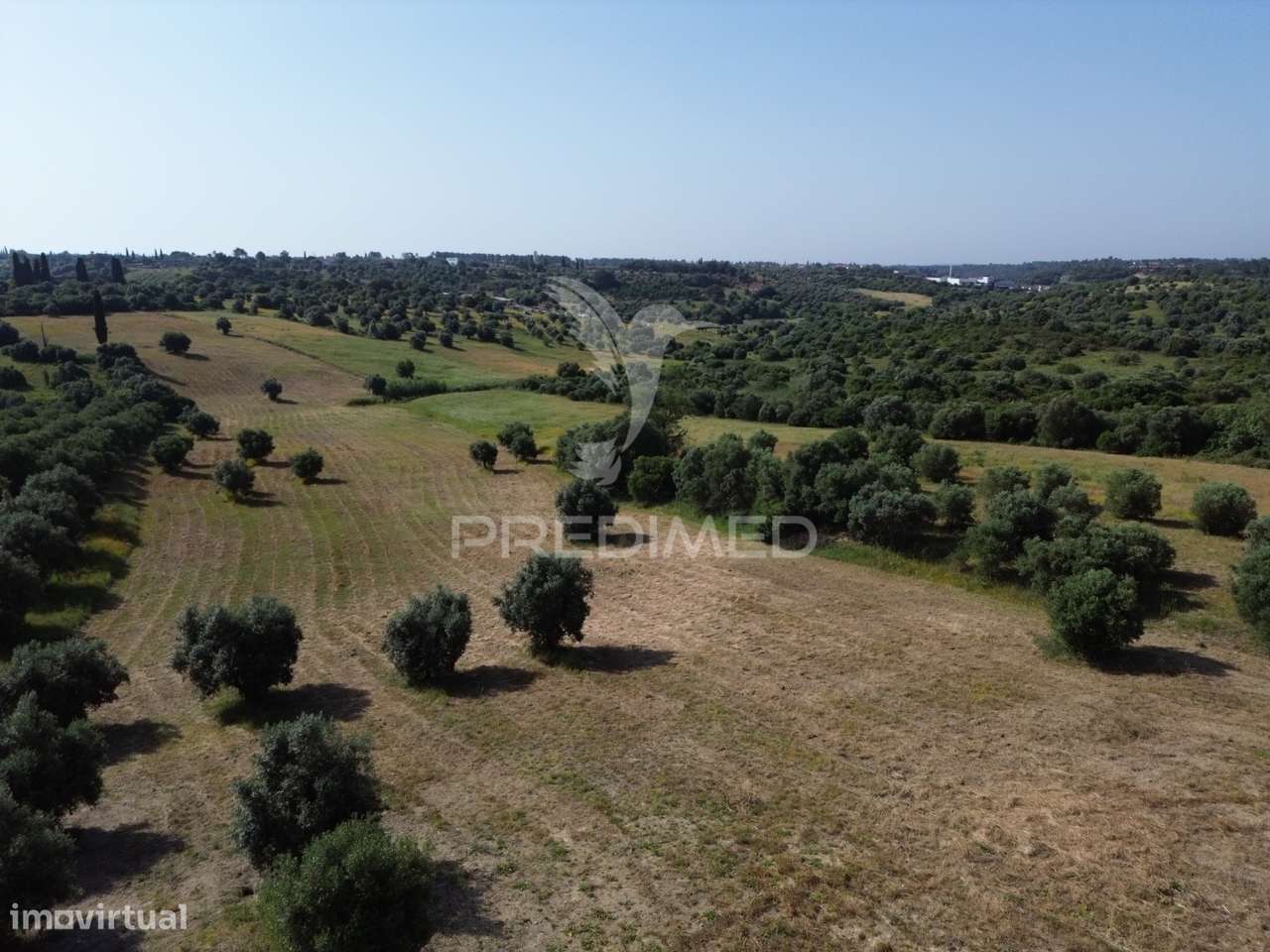 Terreno Rústico - Parceiros de Igreja, Torres Novas - Grande imagem: 5/22