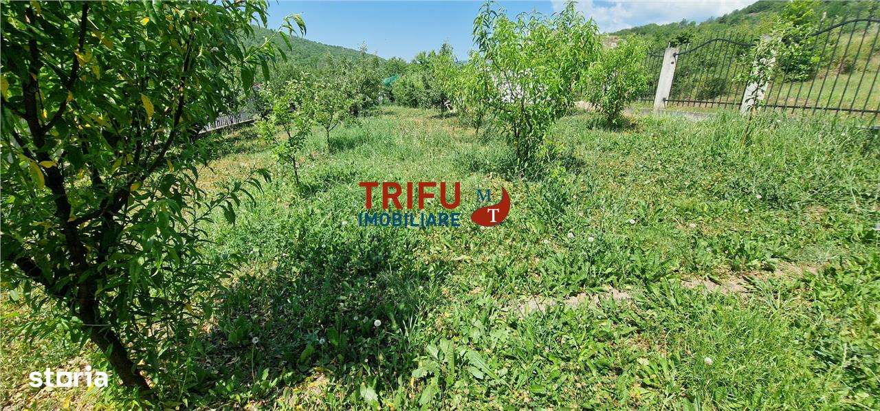 Teren de vanzare zona Ampoita - Imagine principală: 5/9