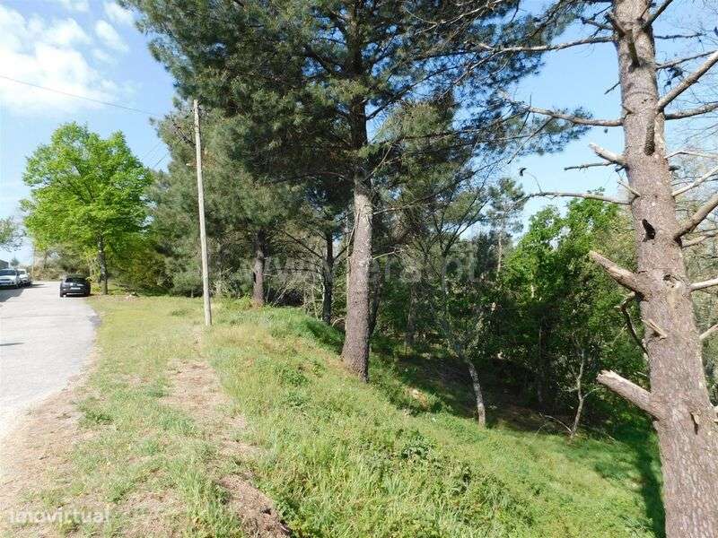 Lote / Seia, Seia - Grande imagem: 5/5