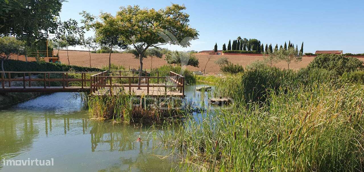 QUINTA com FÁBRICA DE GIN  e CERVEJA ARTESANAL - Grande imagem: 4/32