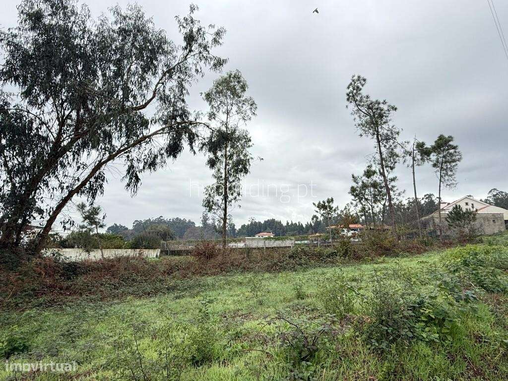 Terreno para construção em Roriz - Grande imagem: 5/12