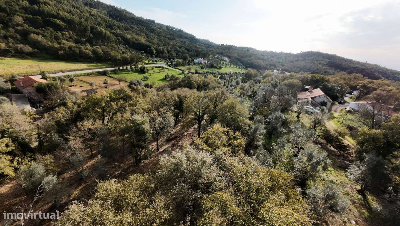Magnífica Quinta com casa em pedra, um terreno de 5090 m2 e furo - Grande imagem: 4/60