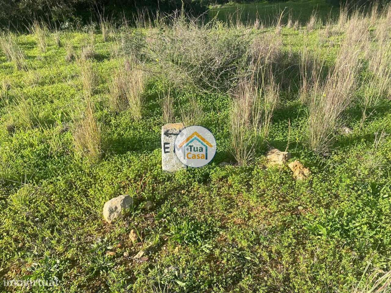 Terreno Rústico com Furo em Boliqueime - Grande imagem: 5/15