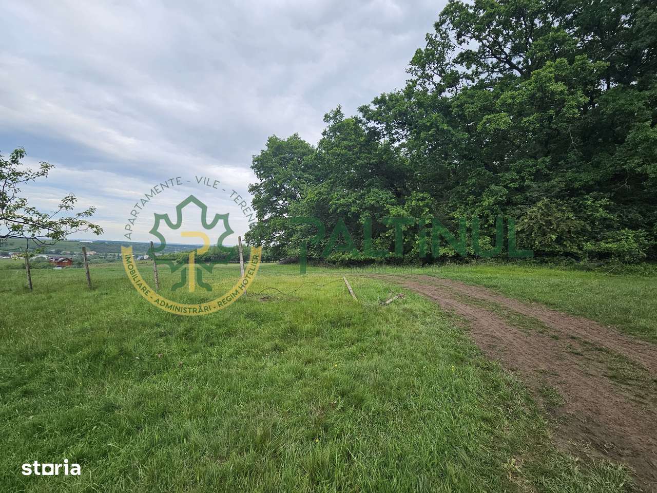 Teren 5.000 mp cu priveliște superbă – Cisnădie, Sibiu - Imagine principală: 5/5