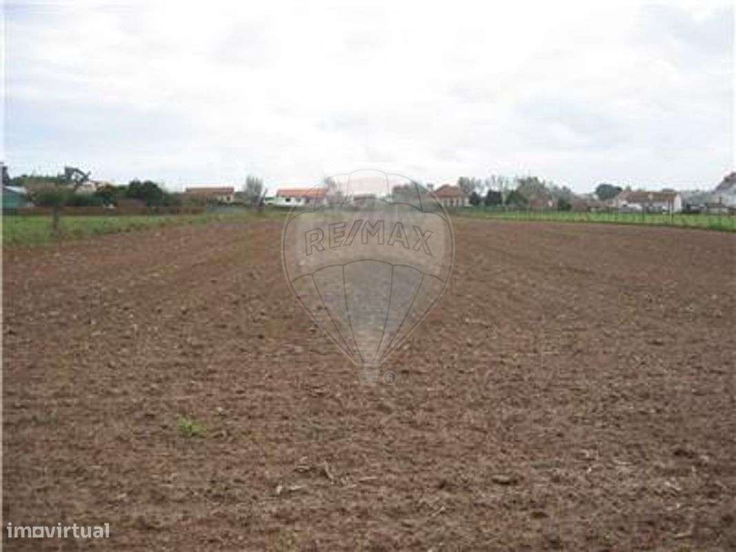 Terreno T0 para venda - Grande imagem: 2/6