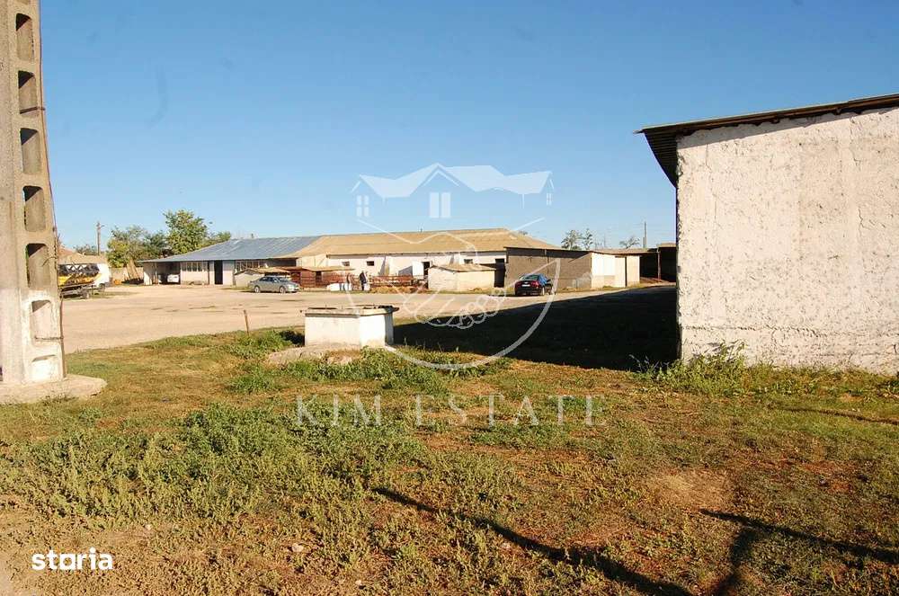 De vanzare ferma N.Balcescu-3