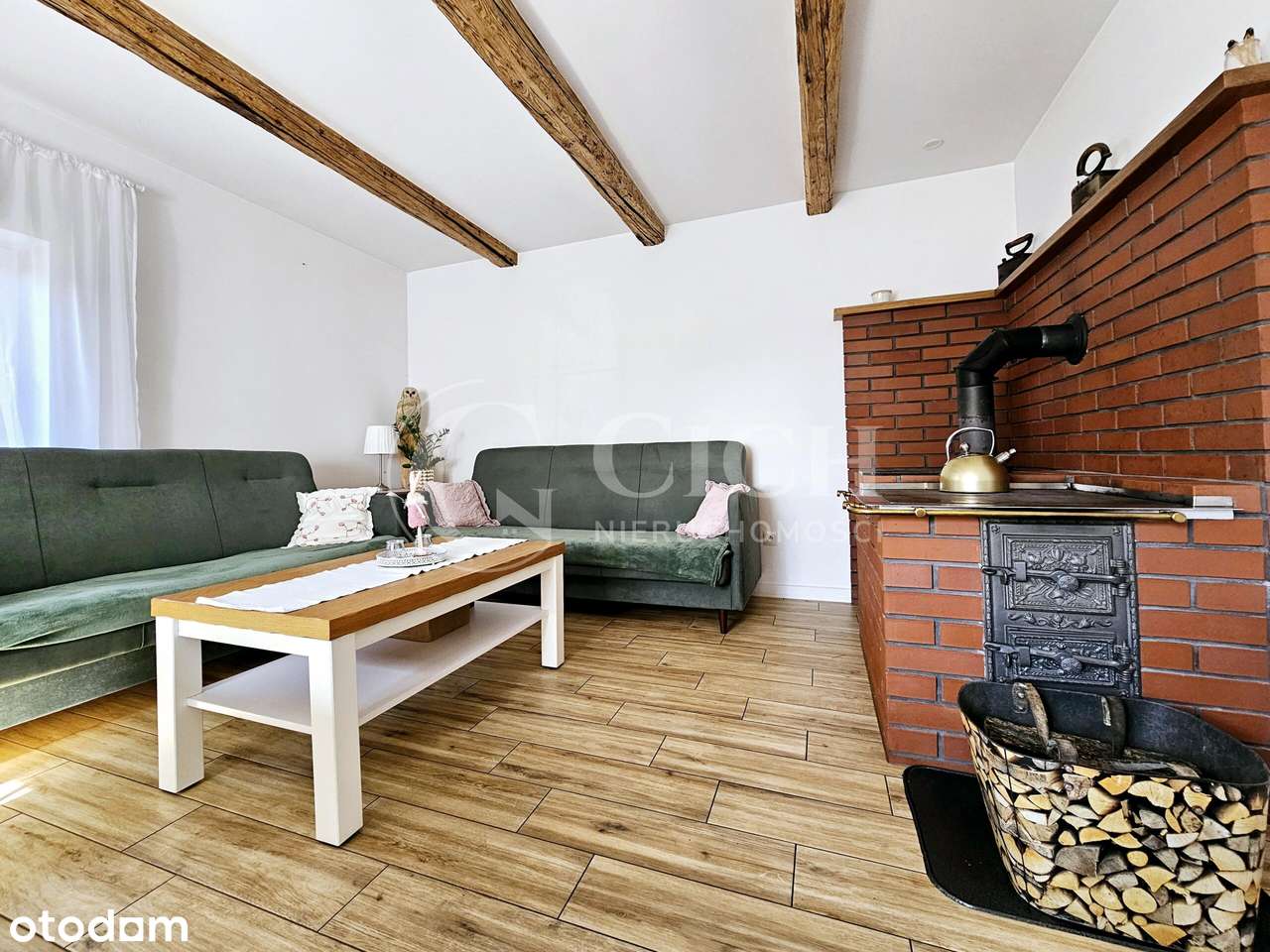 Zadbane siedlisko z prosperującą plantacją jagody kamczackiej.-5