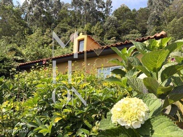 Moradia térrea com 2000 m2 de terreno|a 25 minutos do Funchal.-27