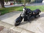 Harley-Davidson Softail Low Rider - 7