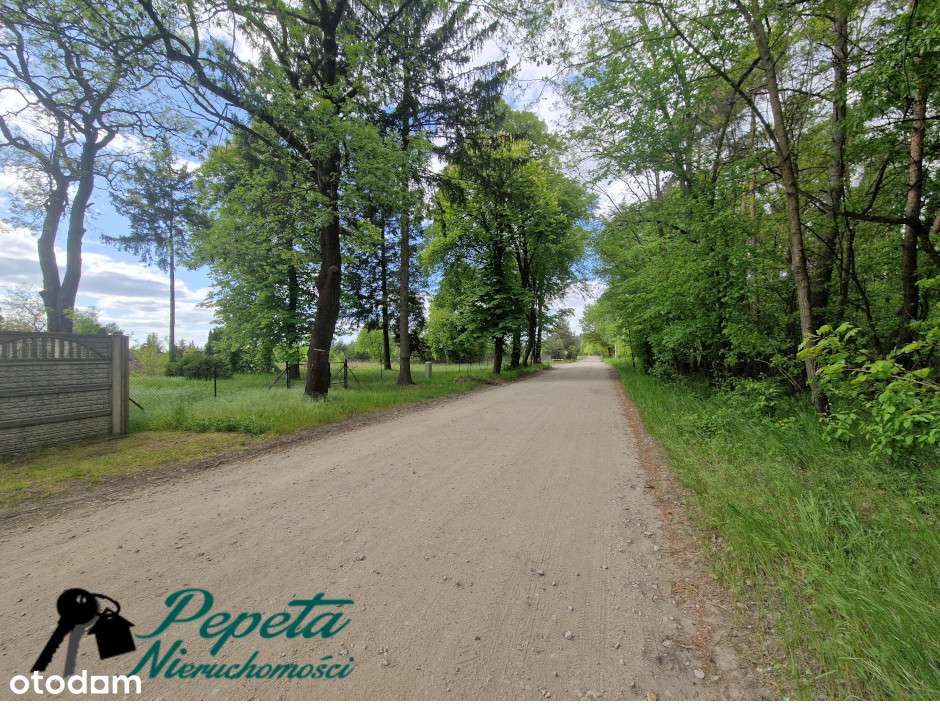 Duża działka budowlana w otulinie lasu. WAGOWO gm. Pobiedziska. - Pełny obrazek: 4/17
