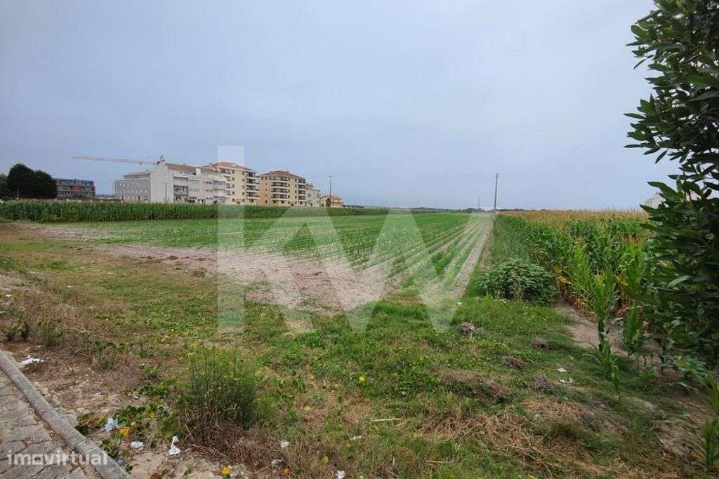 Terreno 11910 m2 localizado no centro da Praia da Vagueira, para const - Grande imagem: 4/6