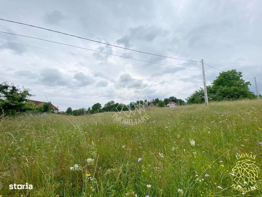 Teren Intravilan 3093 mp-ideal case/cabane/pensiune-Bistrita Bargaului - Imagine principală: 2/6