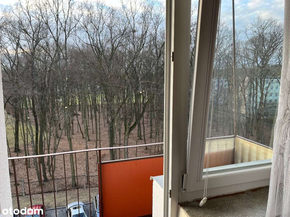 Kraśnik Mieszkanie 58m w pięknej lokalizaci - Pełny obrazek: 4/19