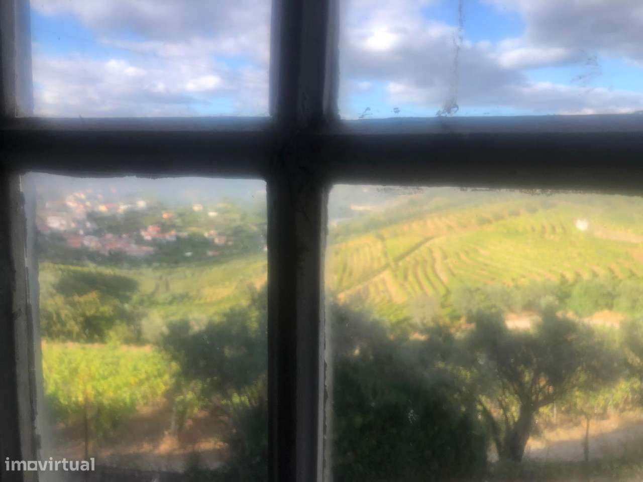 Casa de campo - 6 km do Rio Douro - Régua-10