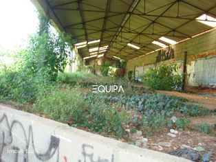 Armazém em Freamunde - Grande imagem: 2/10